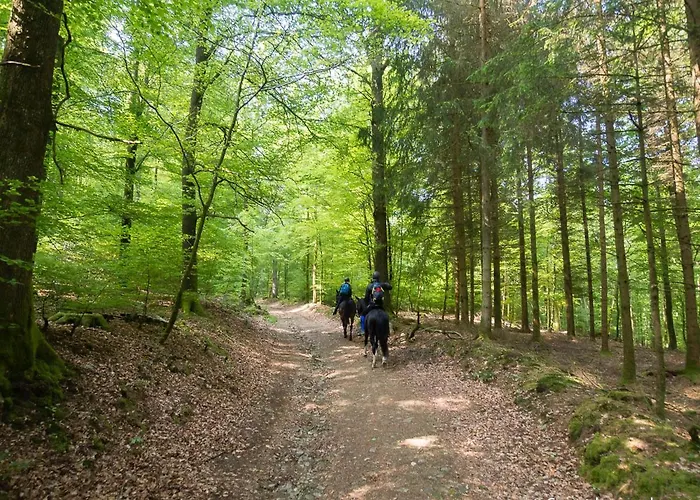 Bonne Entente Avec Escape Game