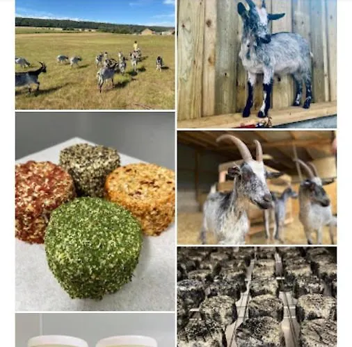 Bonne Entente Avec Escape Game *